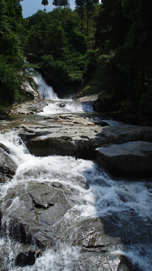 P7252586